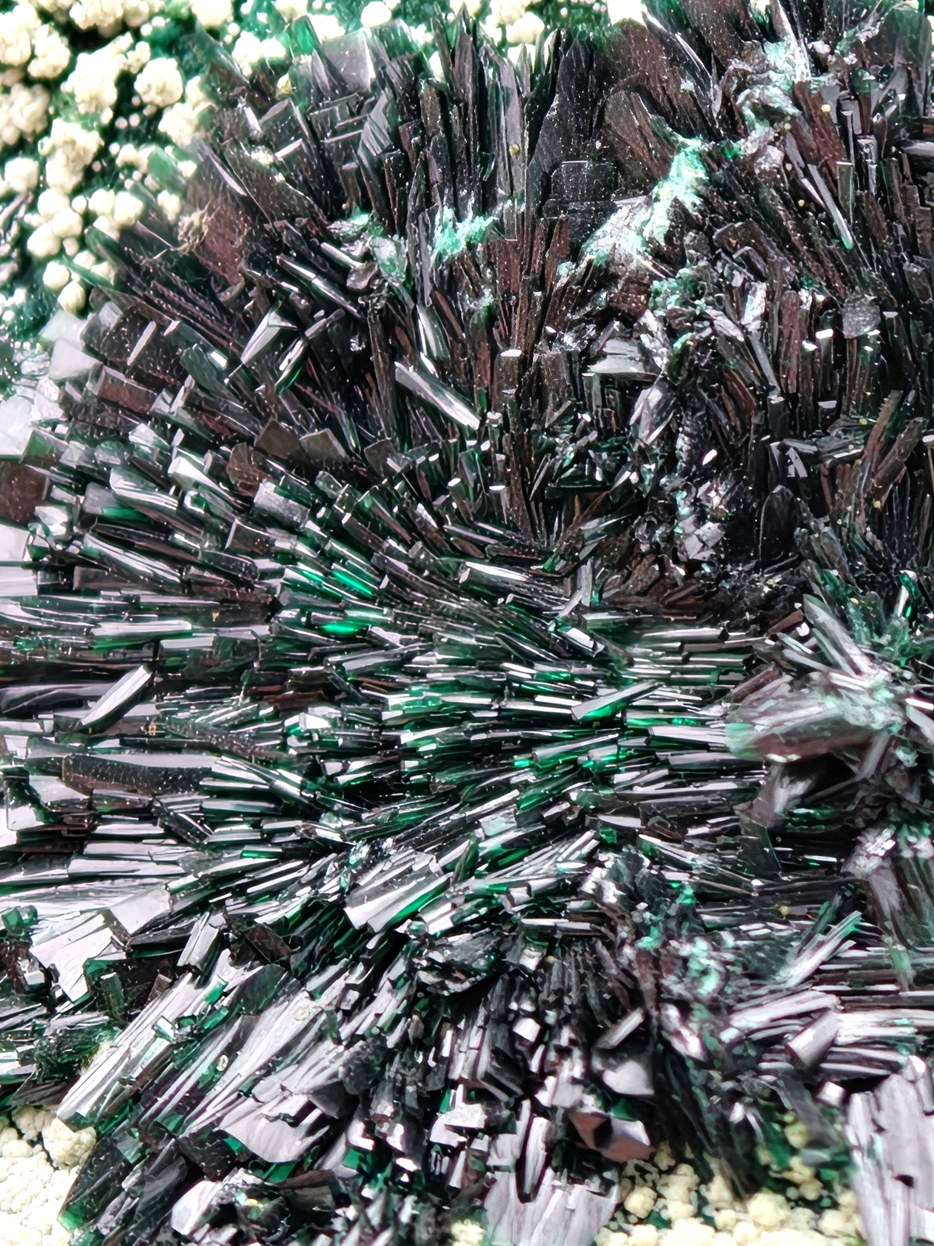 ATACAMITE – Rare Green Rays with Halloysite & Pseudomalachite, Atacama, Chile
