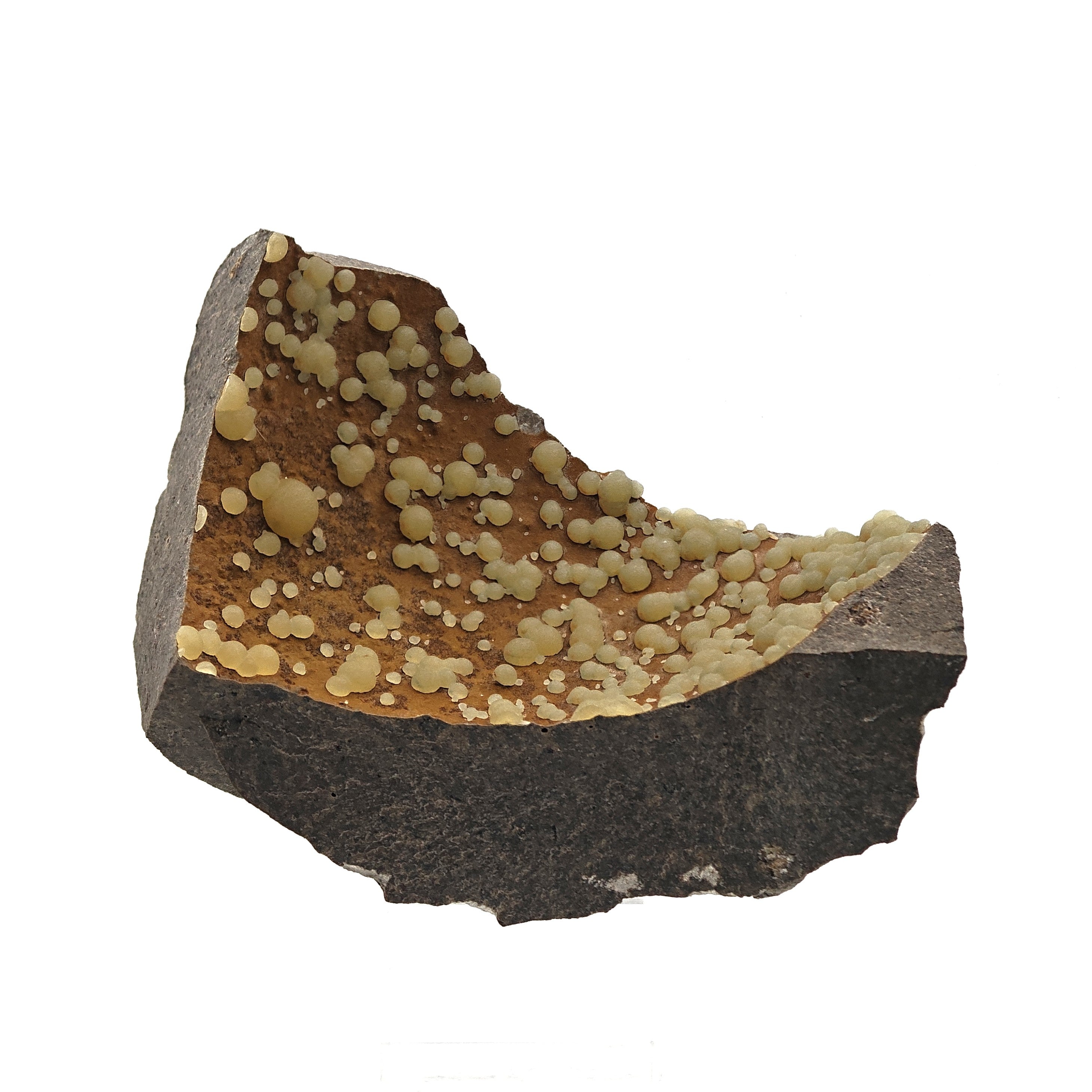 CALCITE – Numerous Yellow Spheres on Dark Basalt, Montalto di Castro, Italy