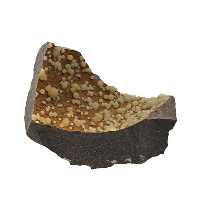 Full view of botryoidal calcite on basalt matrix showing color contrast, Montalto di Castro, Lazio
