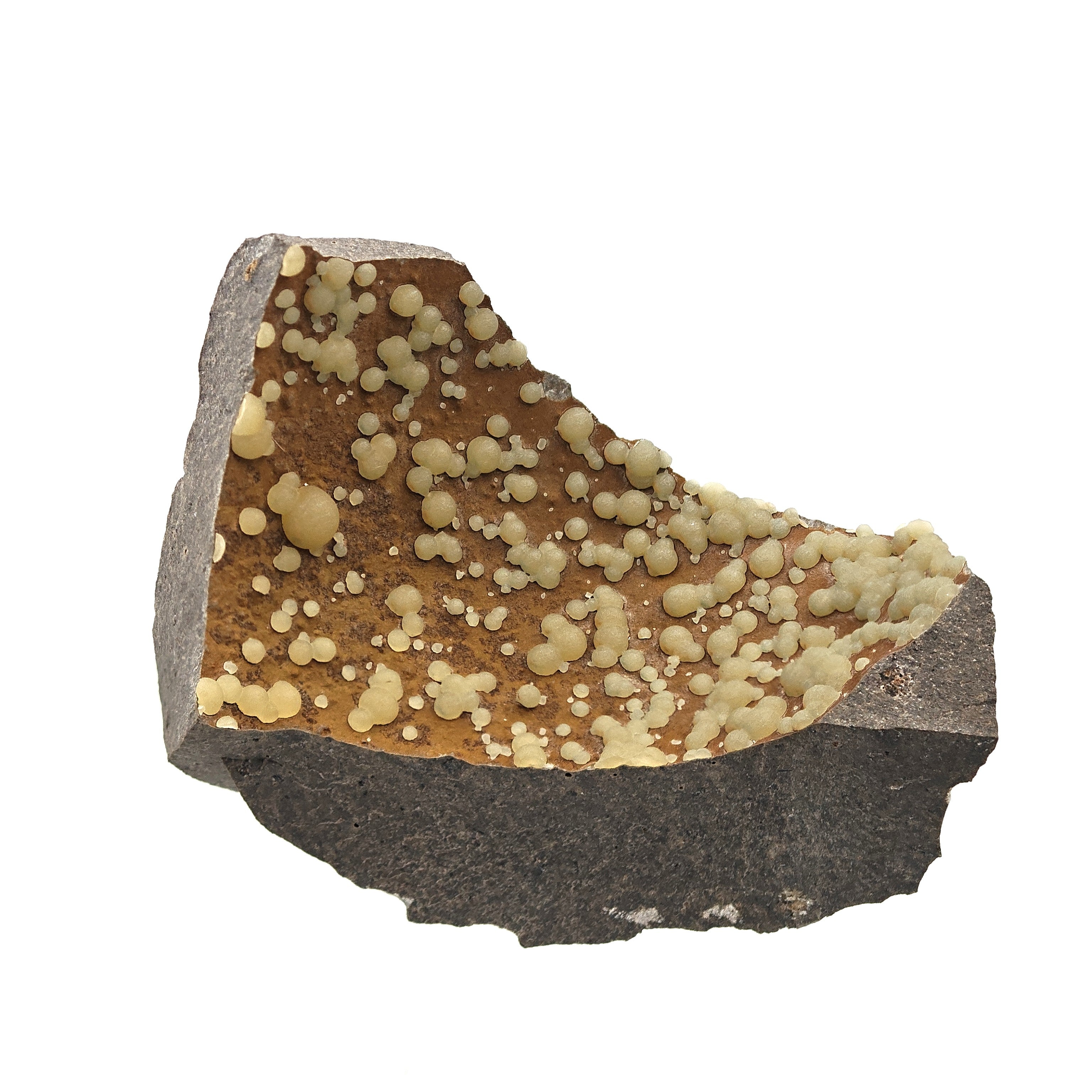 CALCITE – Numerous Yellow Spheres on Dark Basalt, Montalto di Castro, Italy