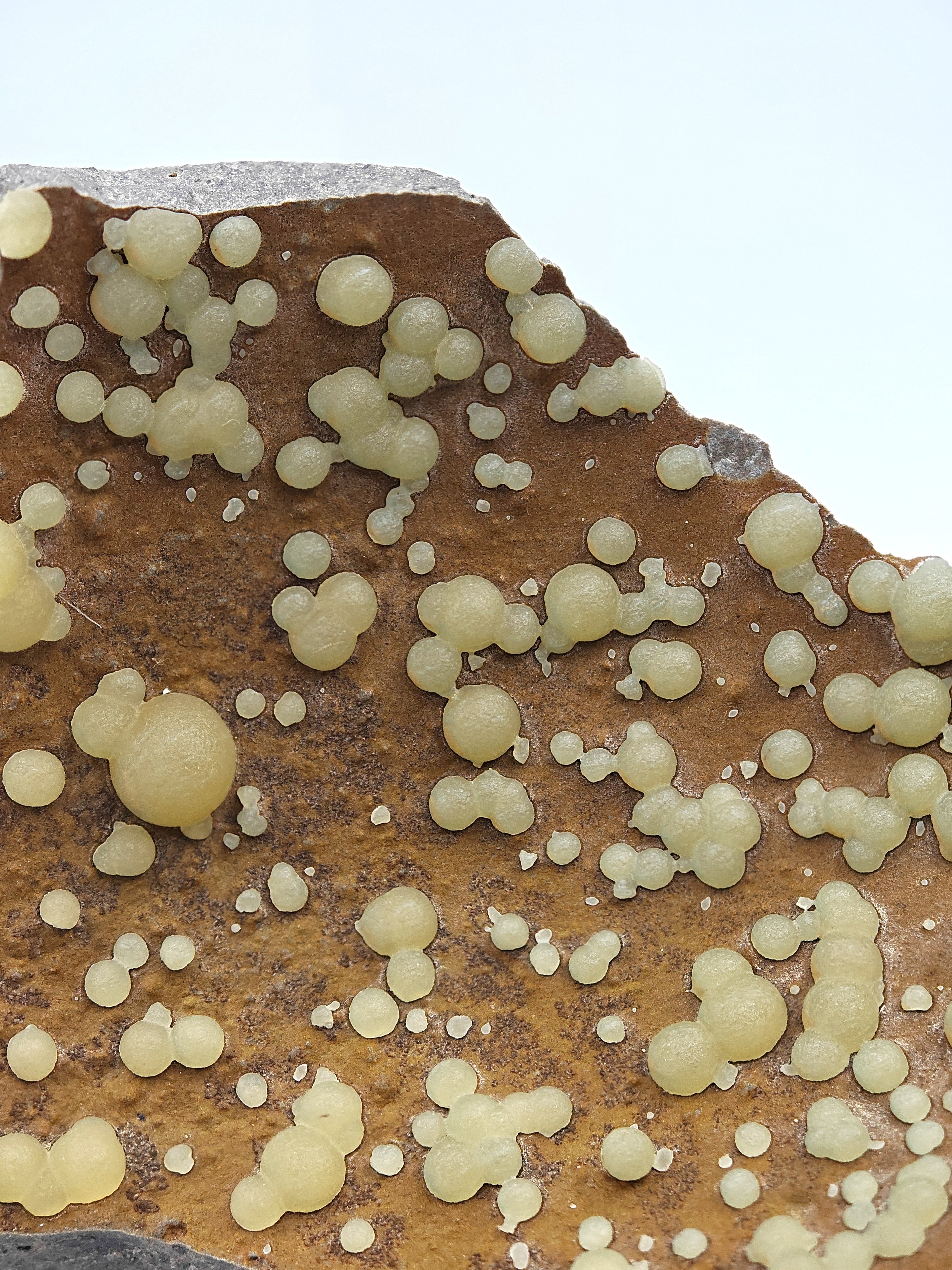CALCITE – Numerous Yellow Spheres on Dark Basalt, Montalto di Castro, Italy