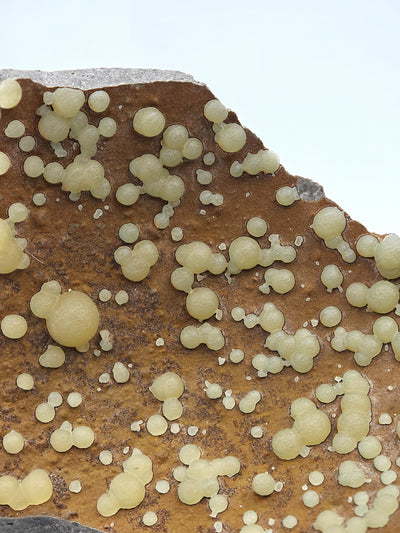 Close-up of clustered calcite spheres of varying sizes on basalt, Pietra Massa locality, Italy