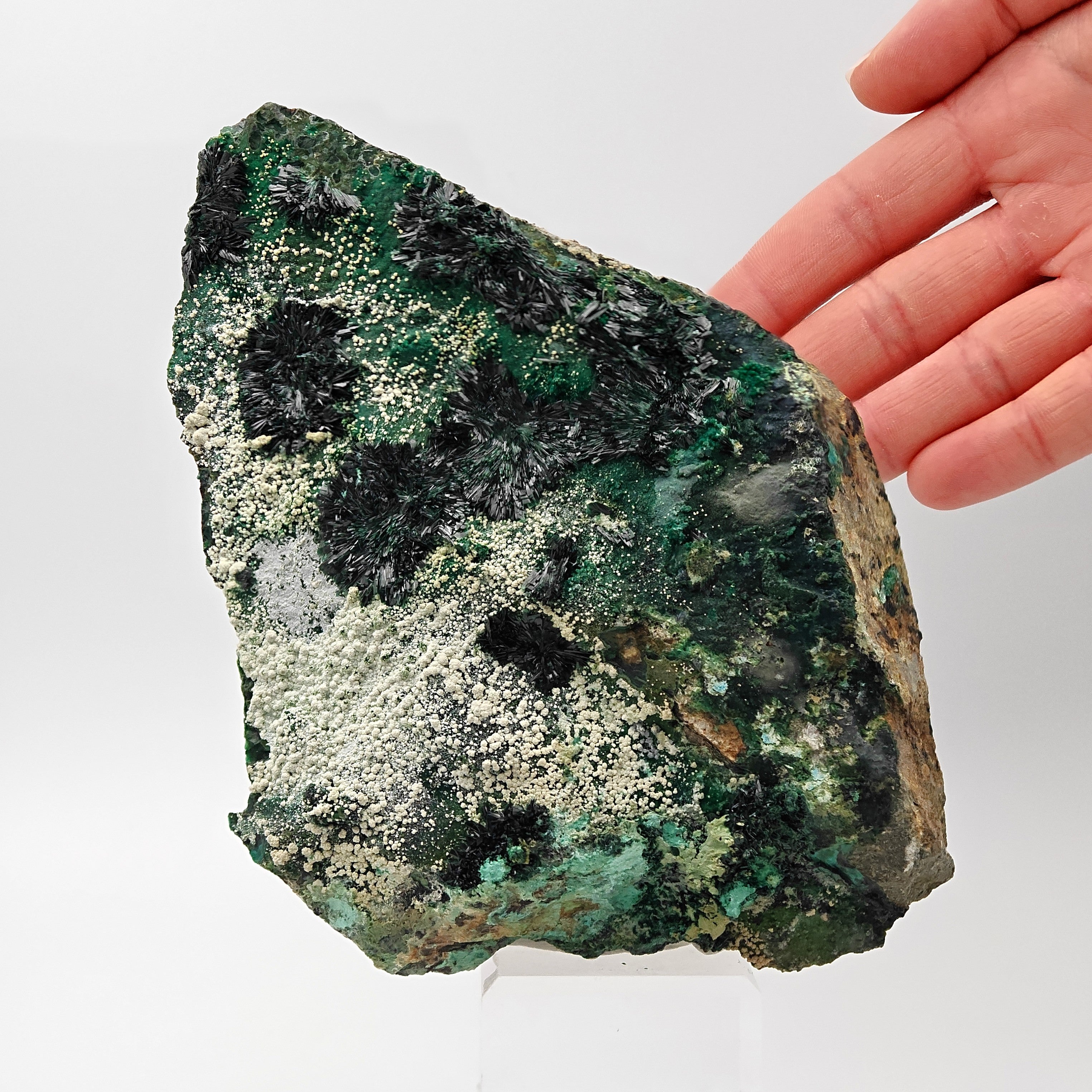 ATACAMITE – Rare Green Rays with Halloysite & Pseudomalachite, Atacama, Chile