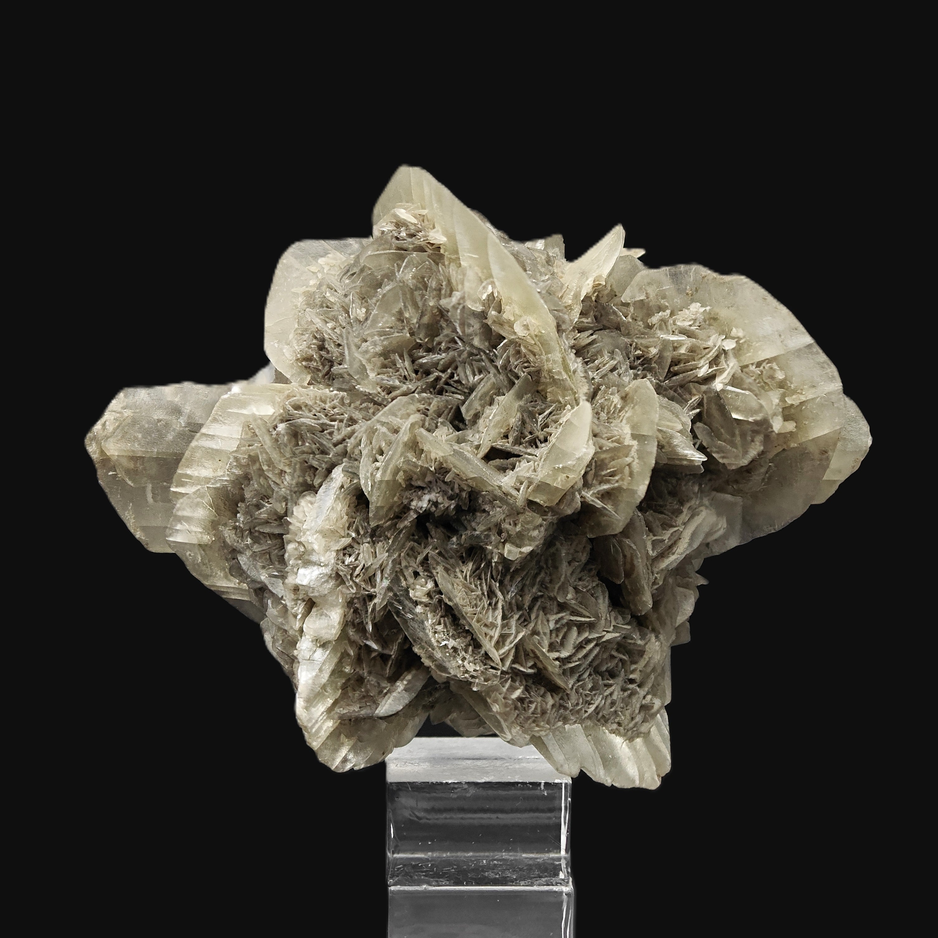 GYPSUM – Desert Rose-Like Crystal Rosette, Vezzano sul Crostolo, Italy
