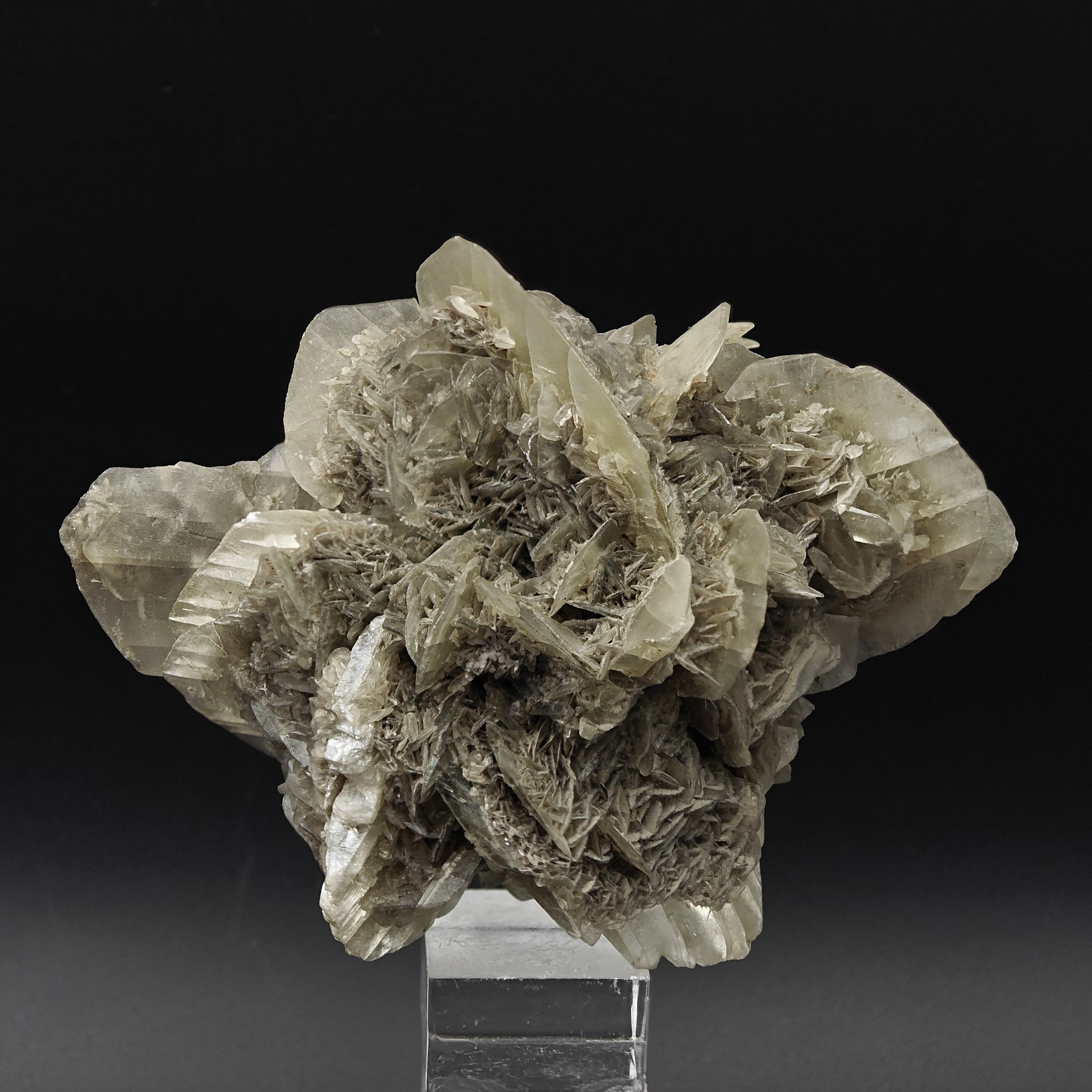 GYPSUM – Desert Rose-Like Crystal Rosette, Vezzano sul Crostolo, Italy