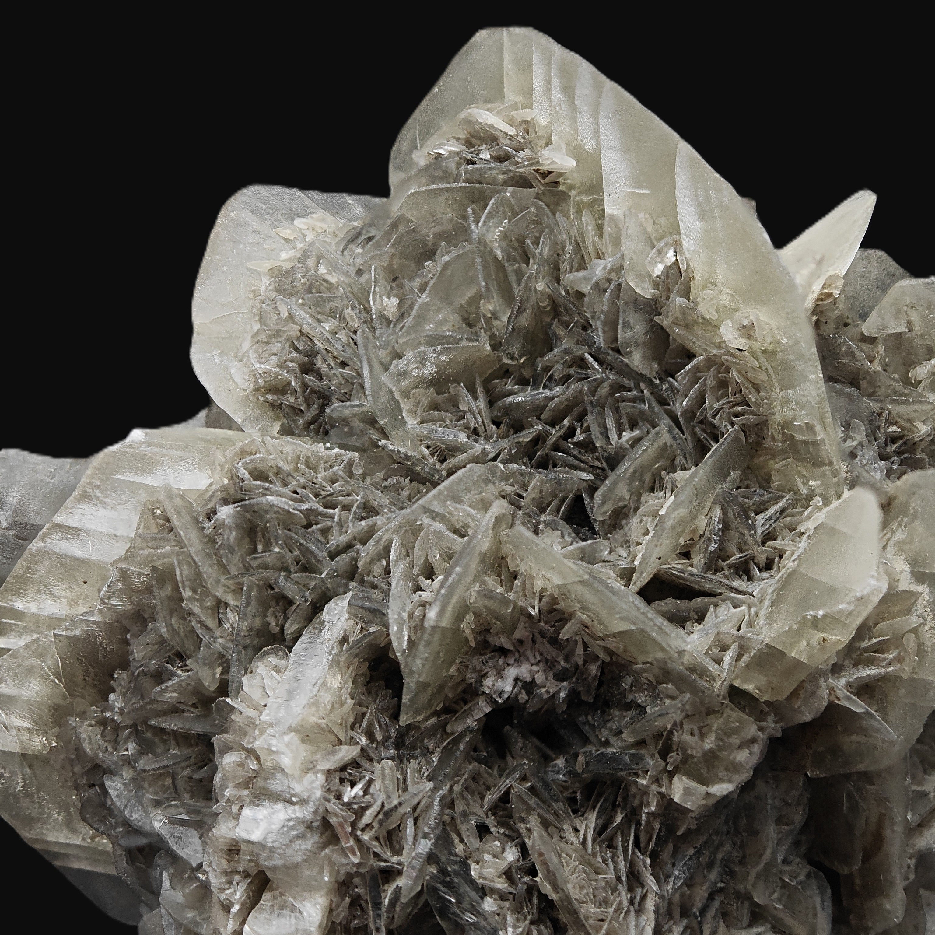 GYPSUM – Desert Rose-Like Crystal Rosette, Vezzano sul Crostolo, Italy