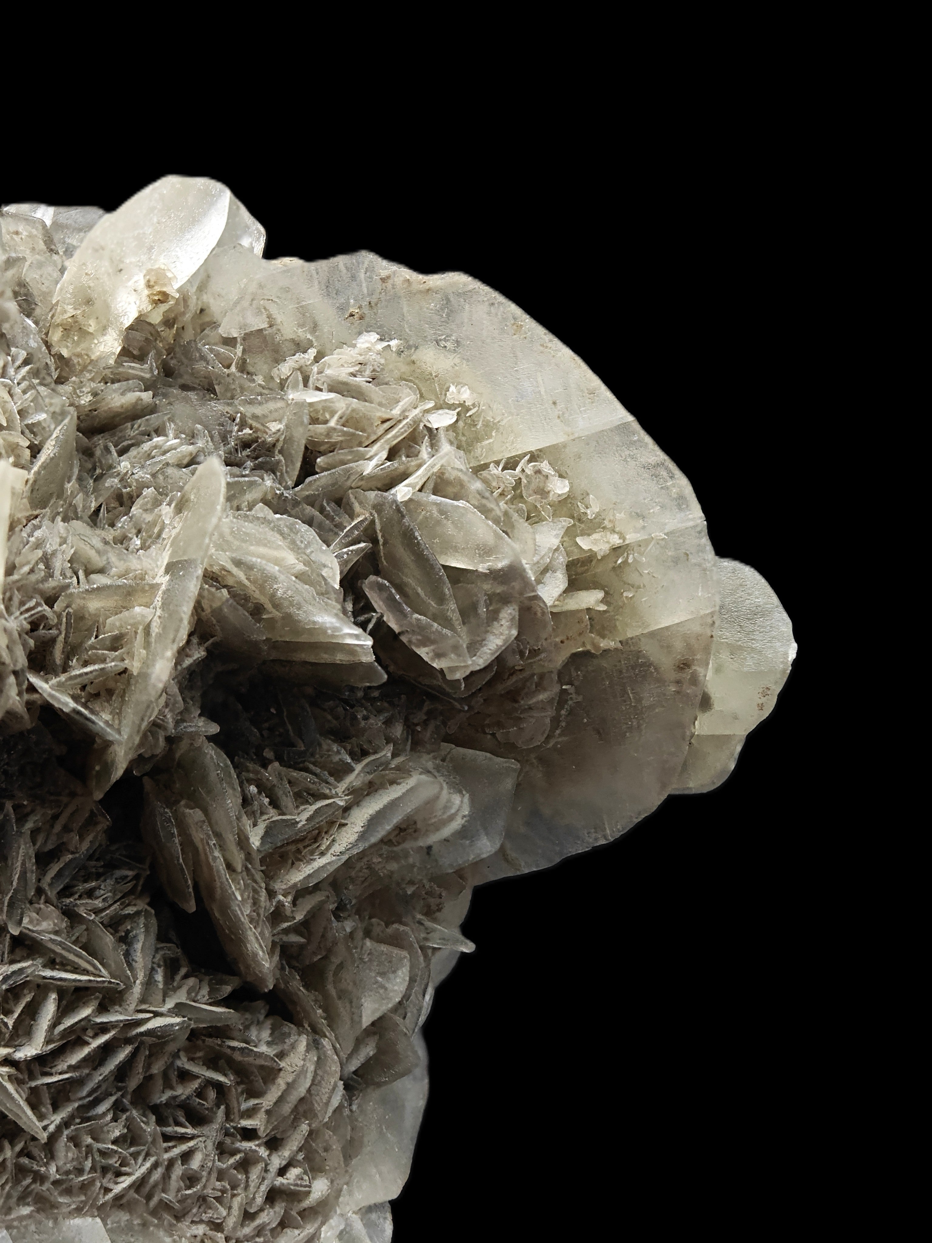 GYPSUM – Desert Rose-Like Crystal Rosette, Vezzano sul Crostolo, Italy