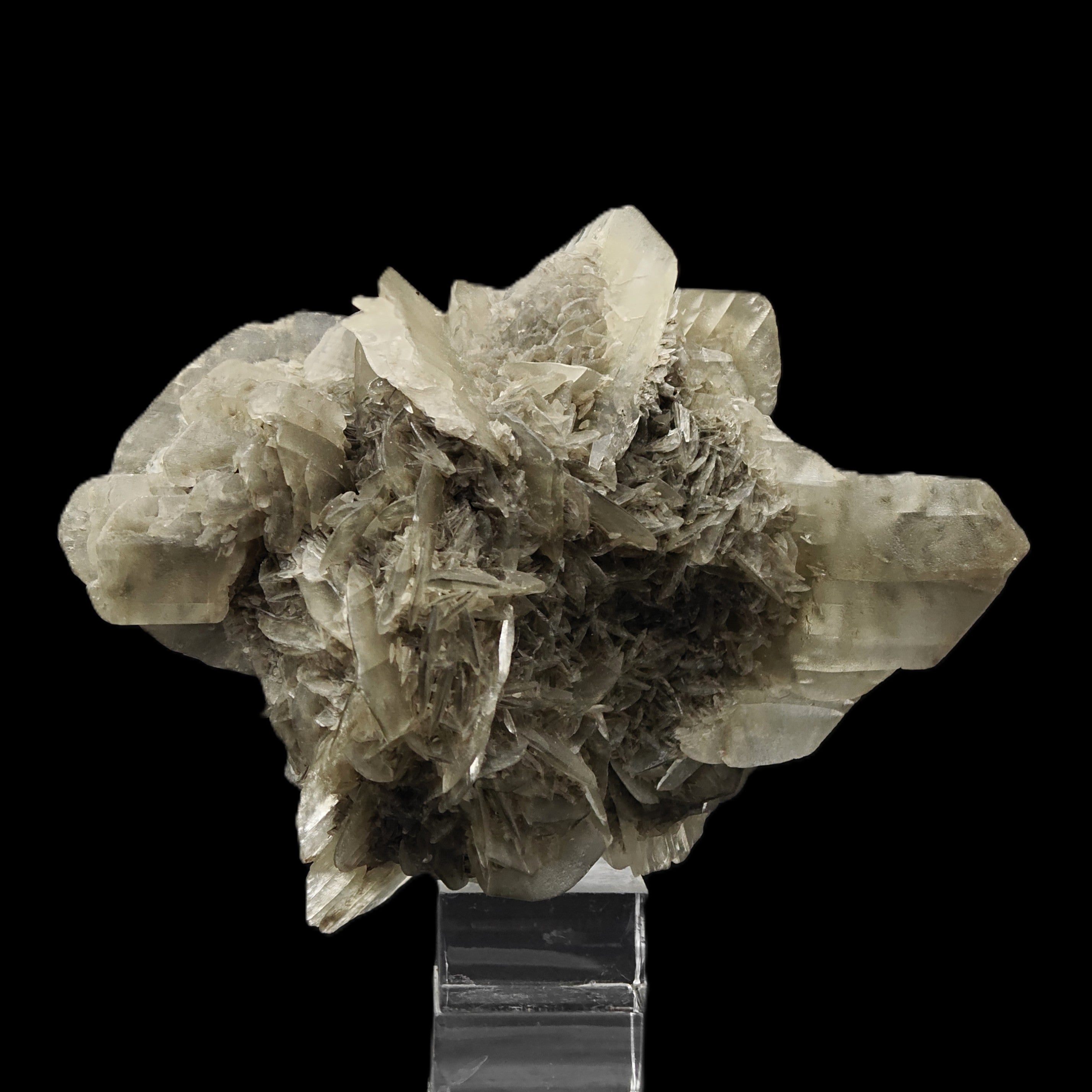 GYPSUM – Desert Rose-Like Crystal Rosette, Vezzano sul Crostolo, Italy