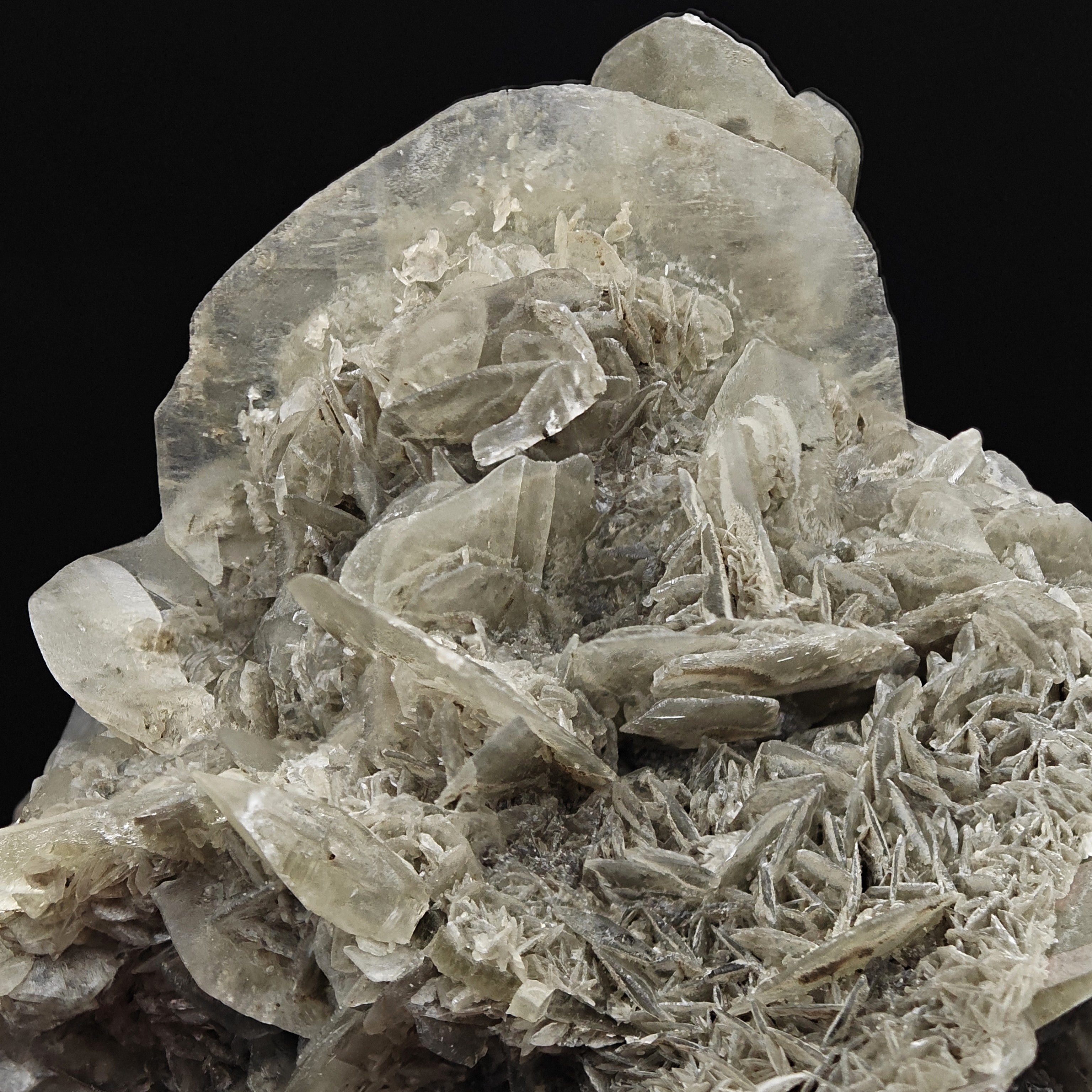 GYPSUM – Desert Rose-Like Crystal Rosette, Vezzano sul Crostolo, Italy