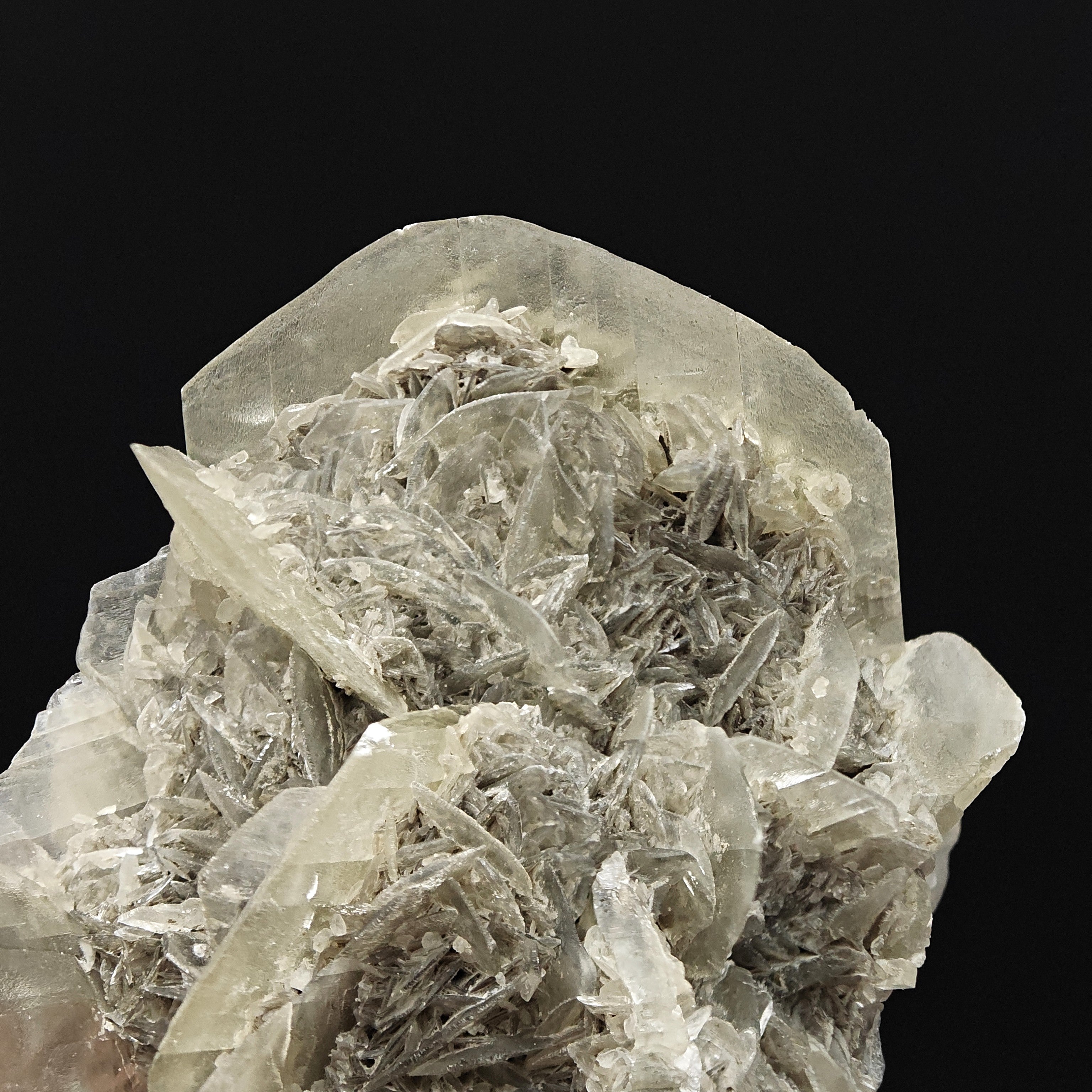 GYPSUM – Desert Rose-Like Crystal Rosette, Vezzano sul Crostolo, Italy
