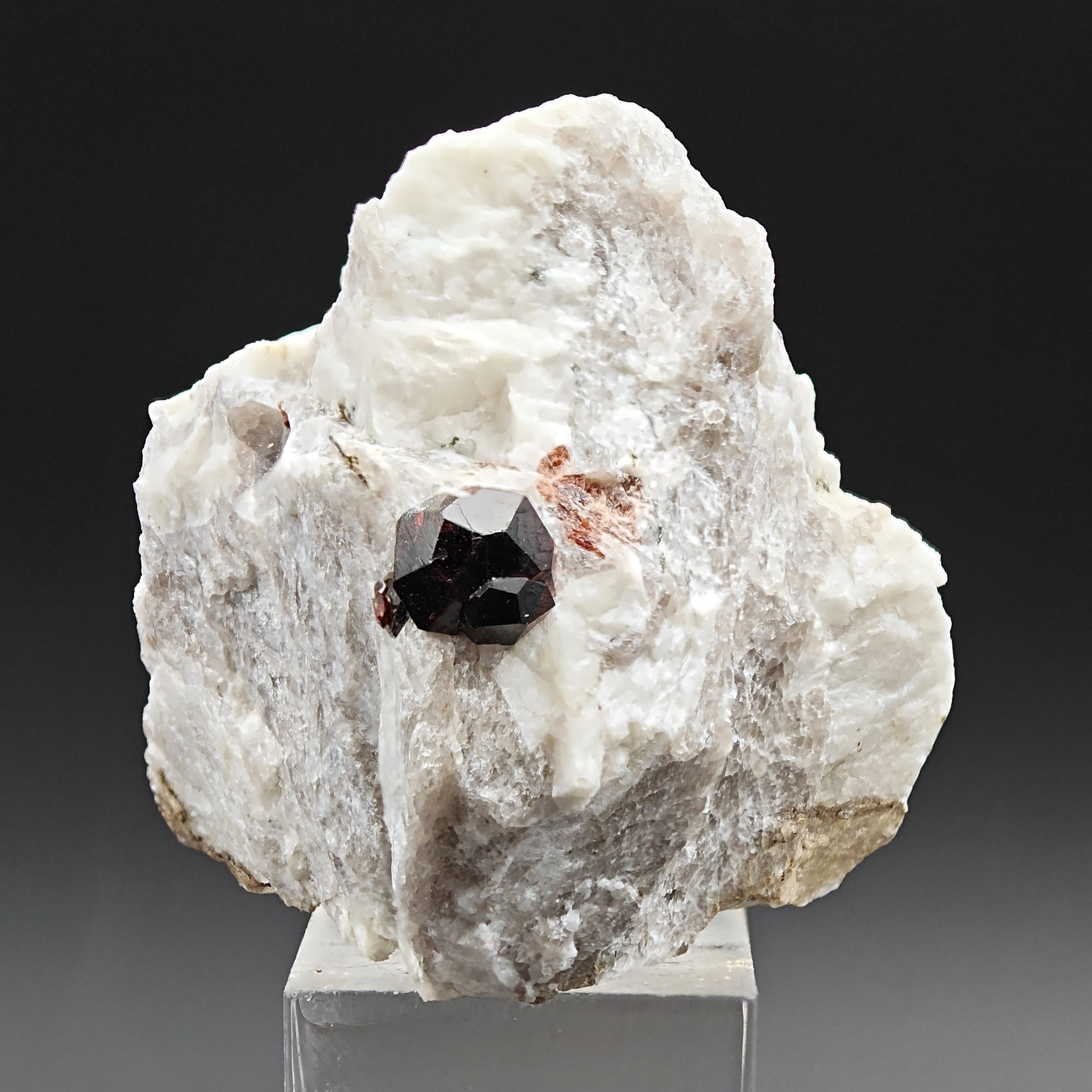 ALMANDINE GARNET – Twinned Blood-Red Crystals on Quartzite, Val Codera, Italy