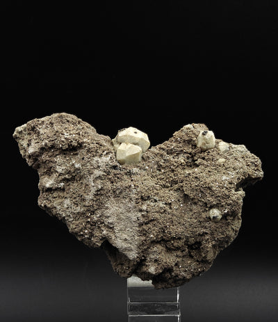 Full matrix specimen with multiple leucite crystal groups, Roccamonfina Volcanic Complex, Italy