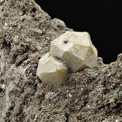 Detail of twinned leucite crystals showing trapezohedral faces, Roccamonfina, Campania