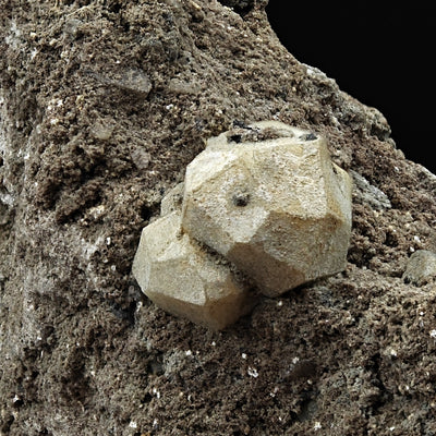 Side view of twinned leucite crystal cluster on scoriaceous matrix, Roccamonfina, Italy