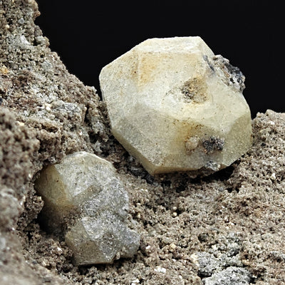 Two leucite trapezohedron crystals showing contrasting luster, Roccamonfina, Campania