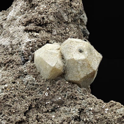 Paired leucite crystals with visible twin suture line, Roccamonfina, Italy