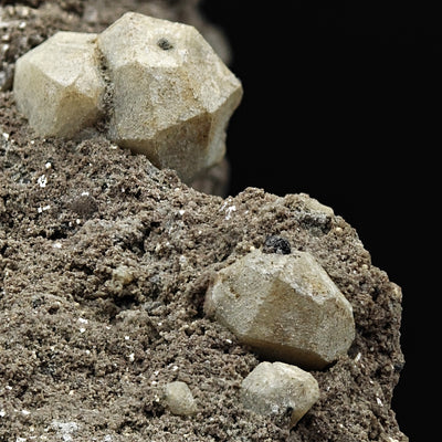 Close-up of leucite trapezohedral crystals embedded in matrix, Roccamonfina, Italy