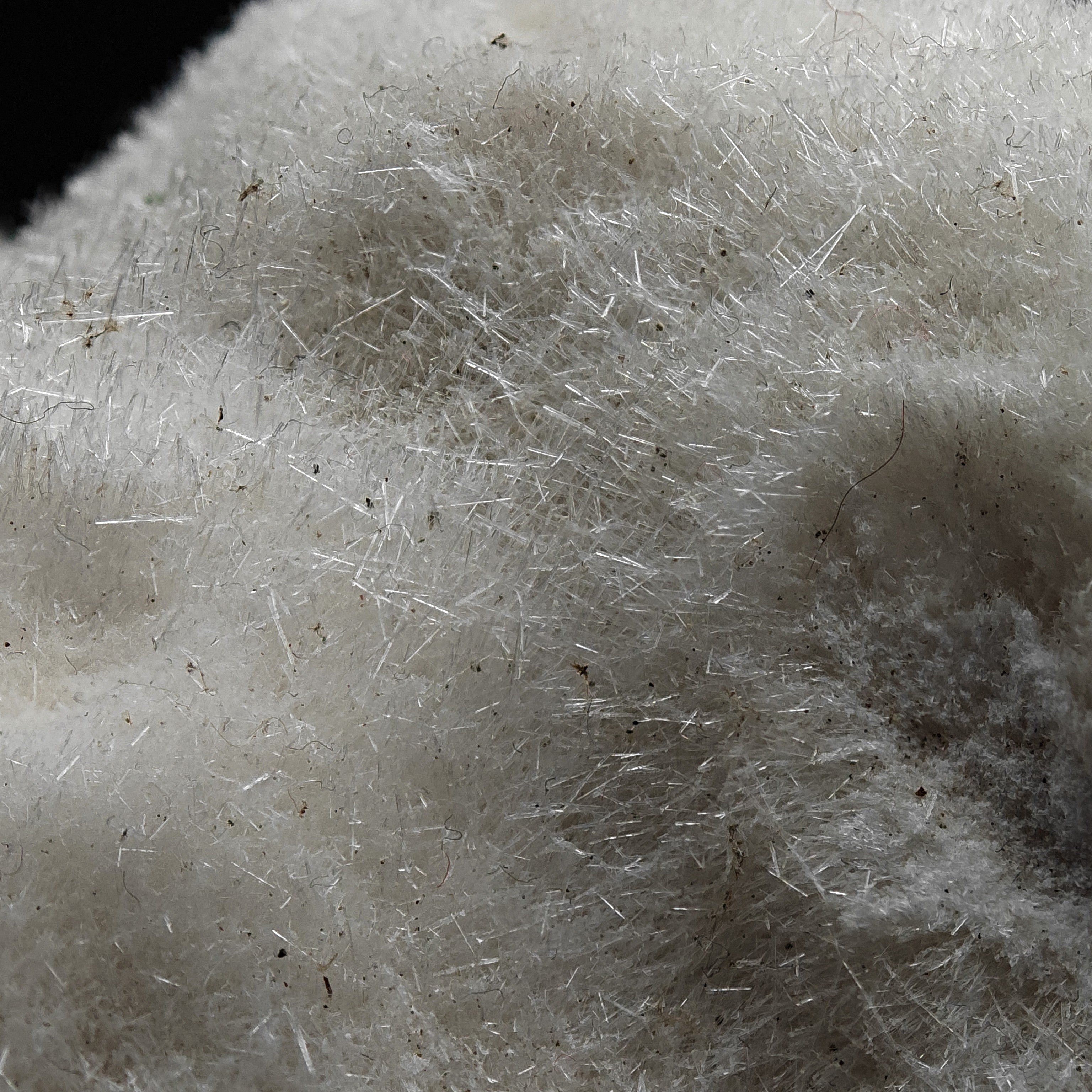 MESOLITE – Thousands of Crystals, Furry Mantle, New Jersey, USA