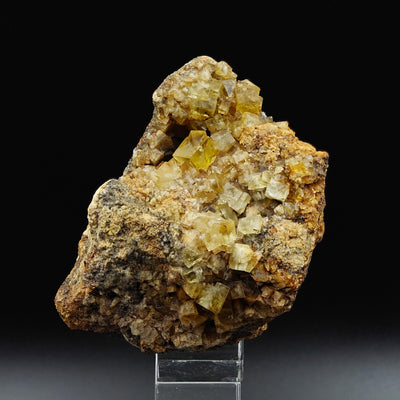 Full view of yellow fluorite crystal cluster on matrix, Hilton Mine, England