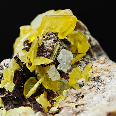 Close-up of adamantine wulfenite crystals on matrix, Touissit, Morocco