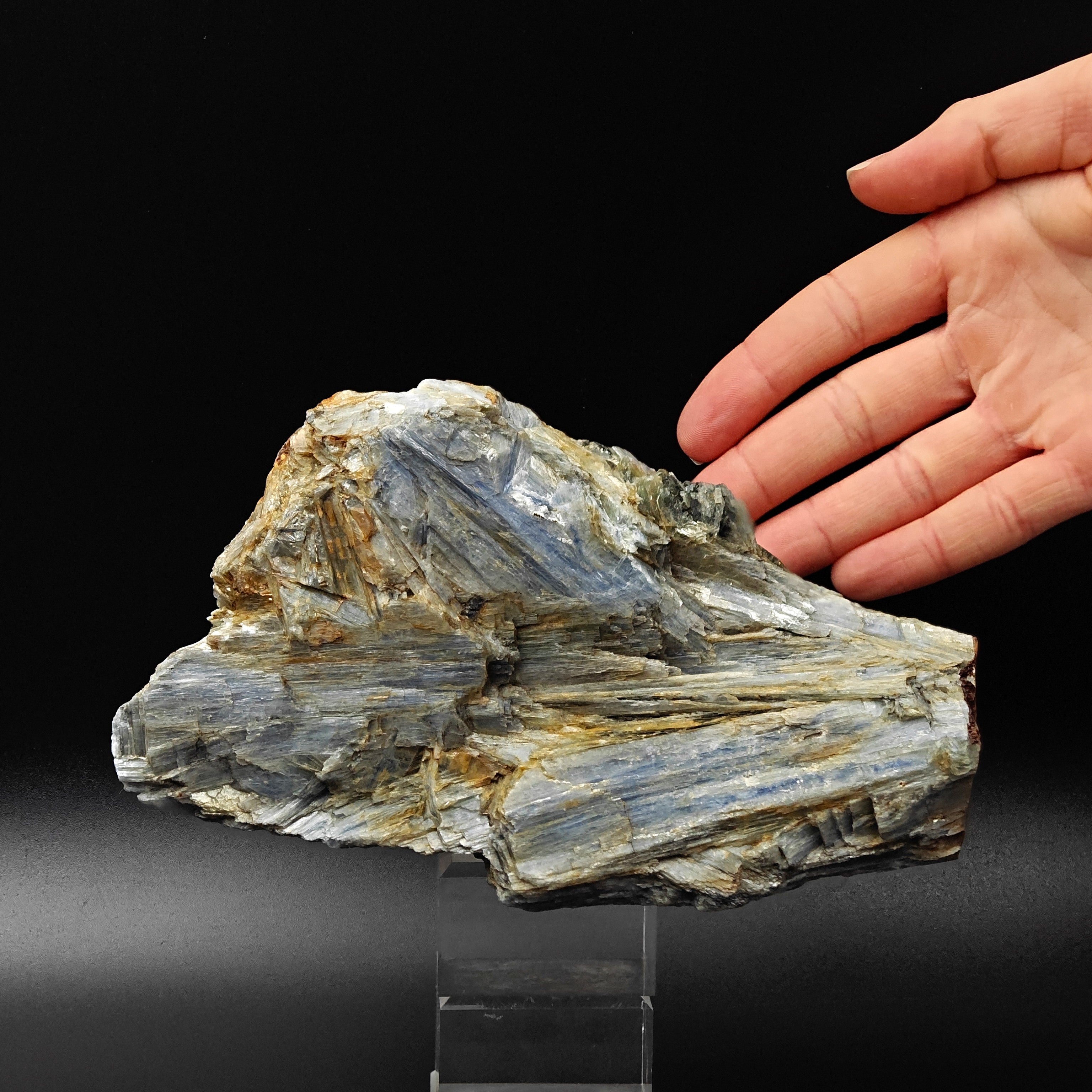 KYANITE – Blue Crystal Cluster, Barra do Salinas, Minas Gerais, Brazil