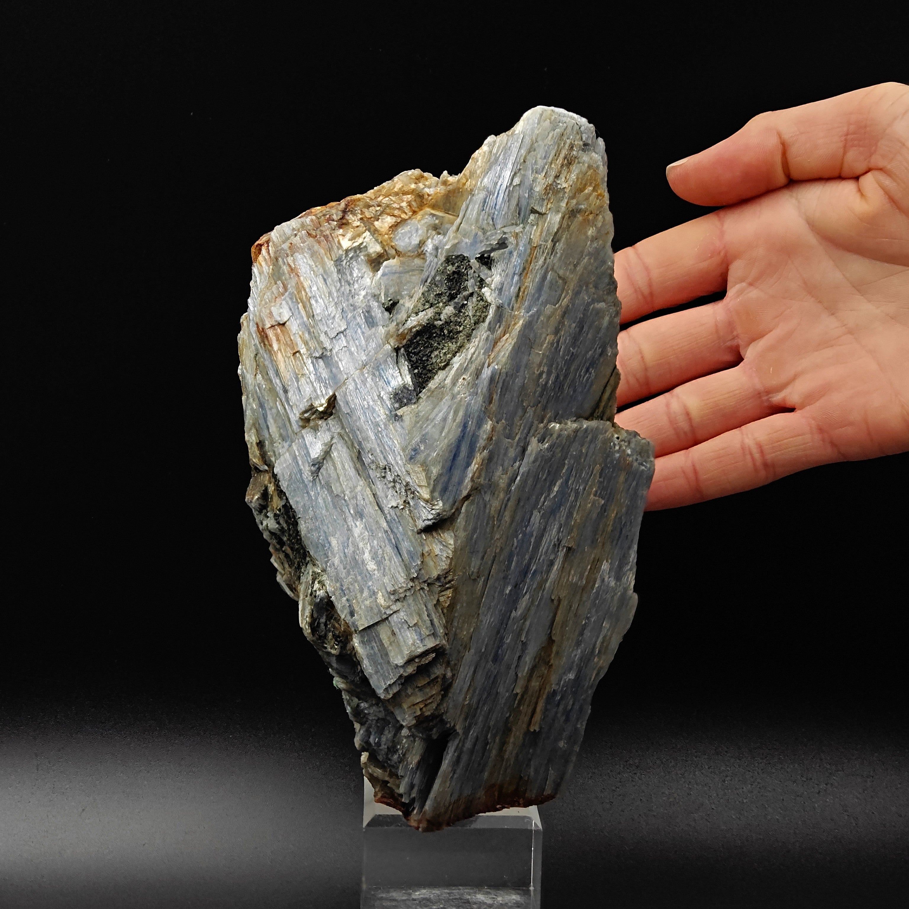 KYANITE – Blue Crystal Cluster, Barra do Salinas, Minas Gerais, Brazil