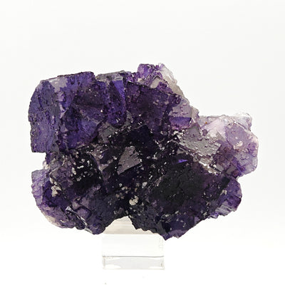 Fluorite specimen with multiple interlocking purple cubes, Coahuila, Mexico