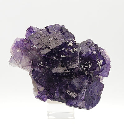 Top view of purple fluorite cluster showing overall cubic habit, Coahuila