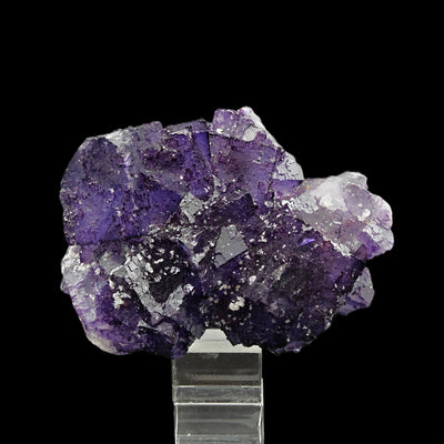 Fluorite specimen on acrylic stand against black backdrop, Esperanza Mine, Mexico
