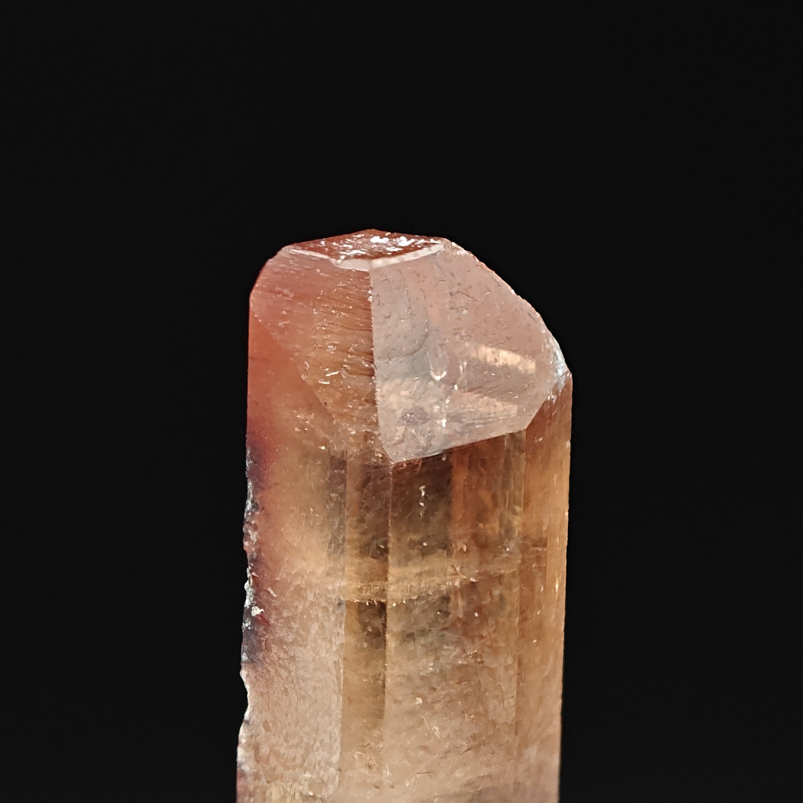 TOPAZ – Amber Gem Crystal, Tepetate, San Luis Potosí, Mexico