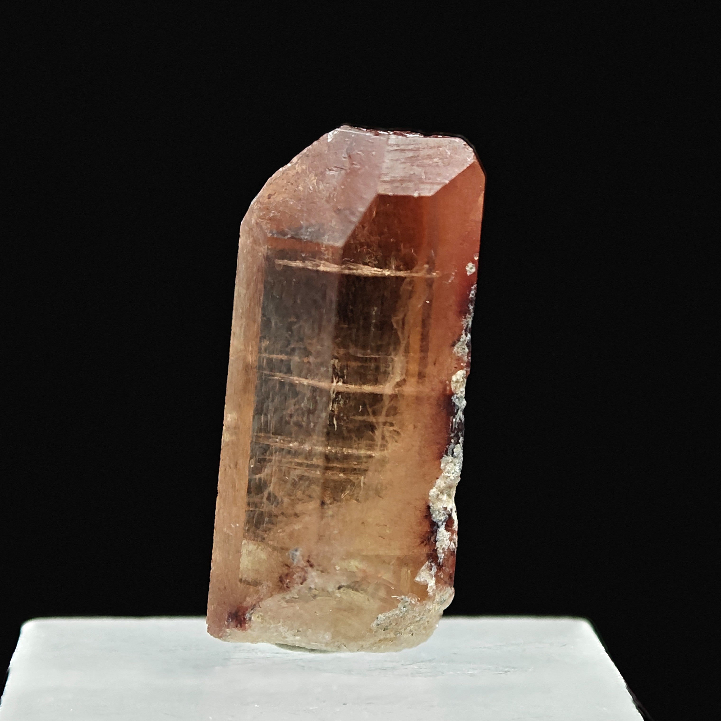 TOPAZ – Amber Gem Crystal, Tepetate, San Luis Potosí, Mexico