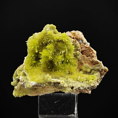Full Pyromorphite specimen on quartz matrix with brown host rock, Guangxi, China