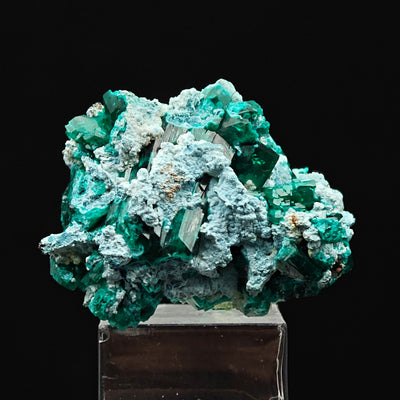 Full view of Dioptase crystal cluster on Shattuckite matrix, Tsumeb Mine, Namibia
