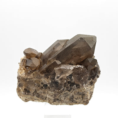Smoky quartz crystal cluster on matrix, Mont Blanc Massif, Aosta Valley, Italy