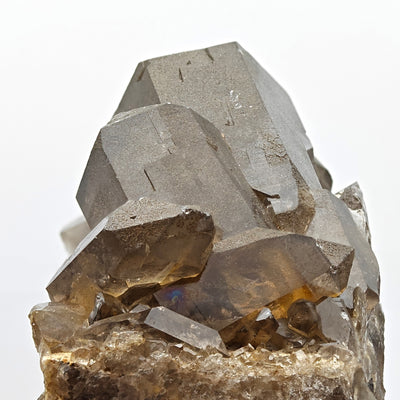Close-up of multiple smoky quartz crystals on matrix, Courmayeur, Italy