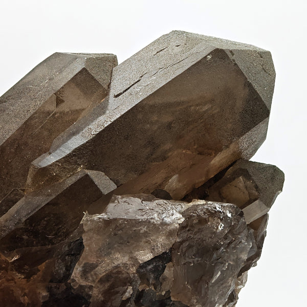SMOKY QUARTZ & CHLORITE– Big Crystals, Mont Blanc, Aosta Valley, Italy