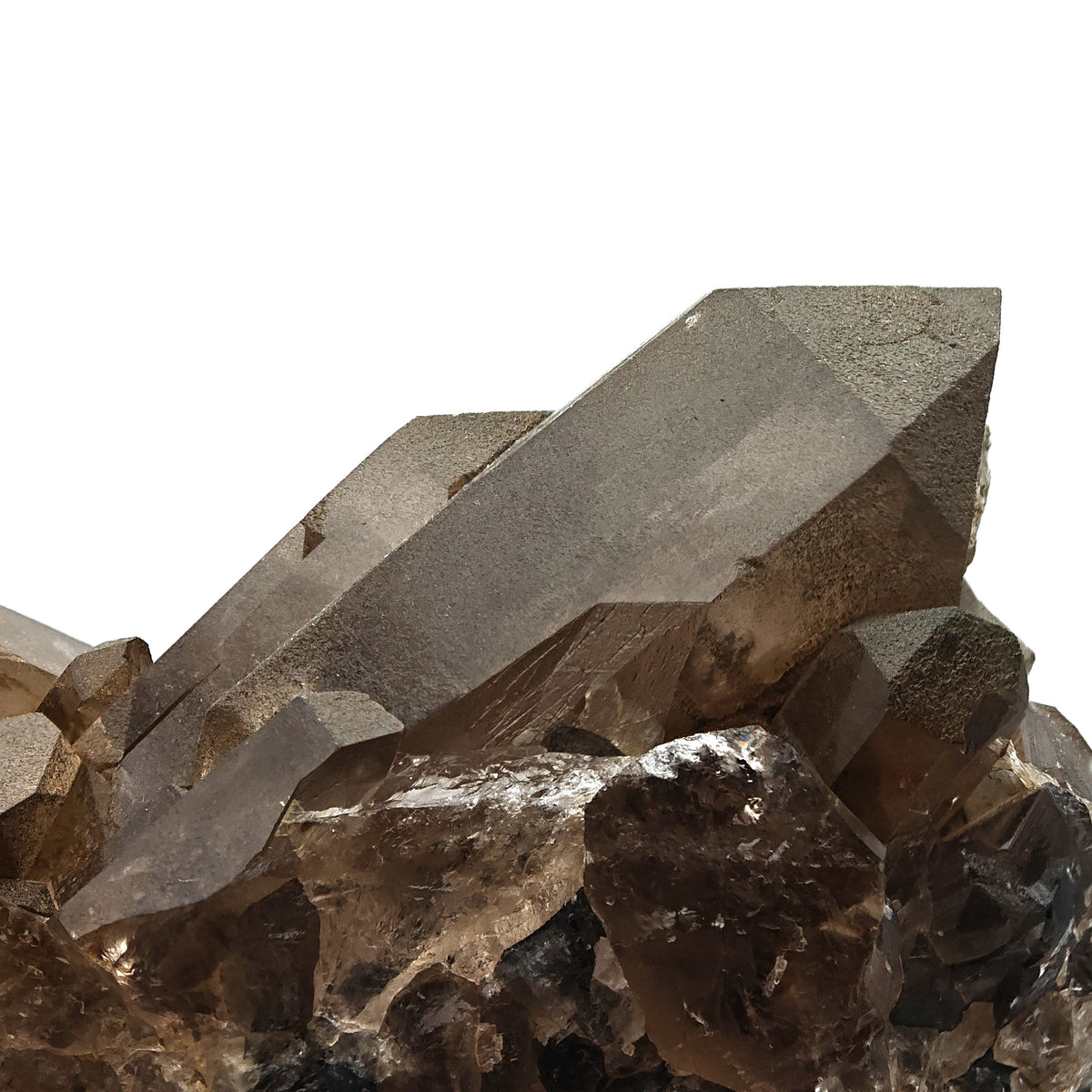 SMOKY QUARTZ & CHLORITE– Big Crystals, Mont Blanc, Aosta Valley, Italy
