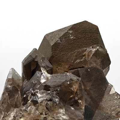 Close-up of smoky quartz crystal cluster with chlorite coating, Aosta Valley, Italy