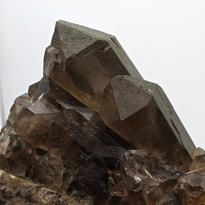 Close-up of terminated smoky quartz crystal points, Mont Blanc Massif, Italy