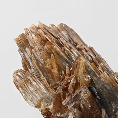 Detail of overlapping baryte blades with golden brown hues, Jebel Ouichane mine, Morocco