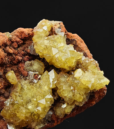 Close-up of prismatic adamite crystals on gossan matrix, Ojuela Mine, Mapimi, Mexico