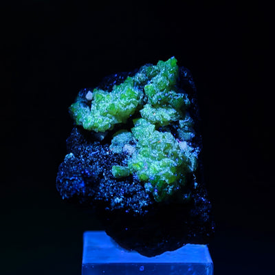 Adamite crystals glowing bright green under UV light, Ojuela Mine, Mexico