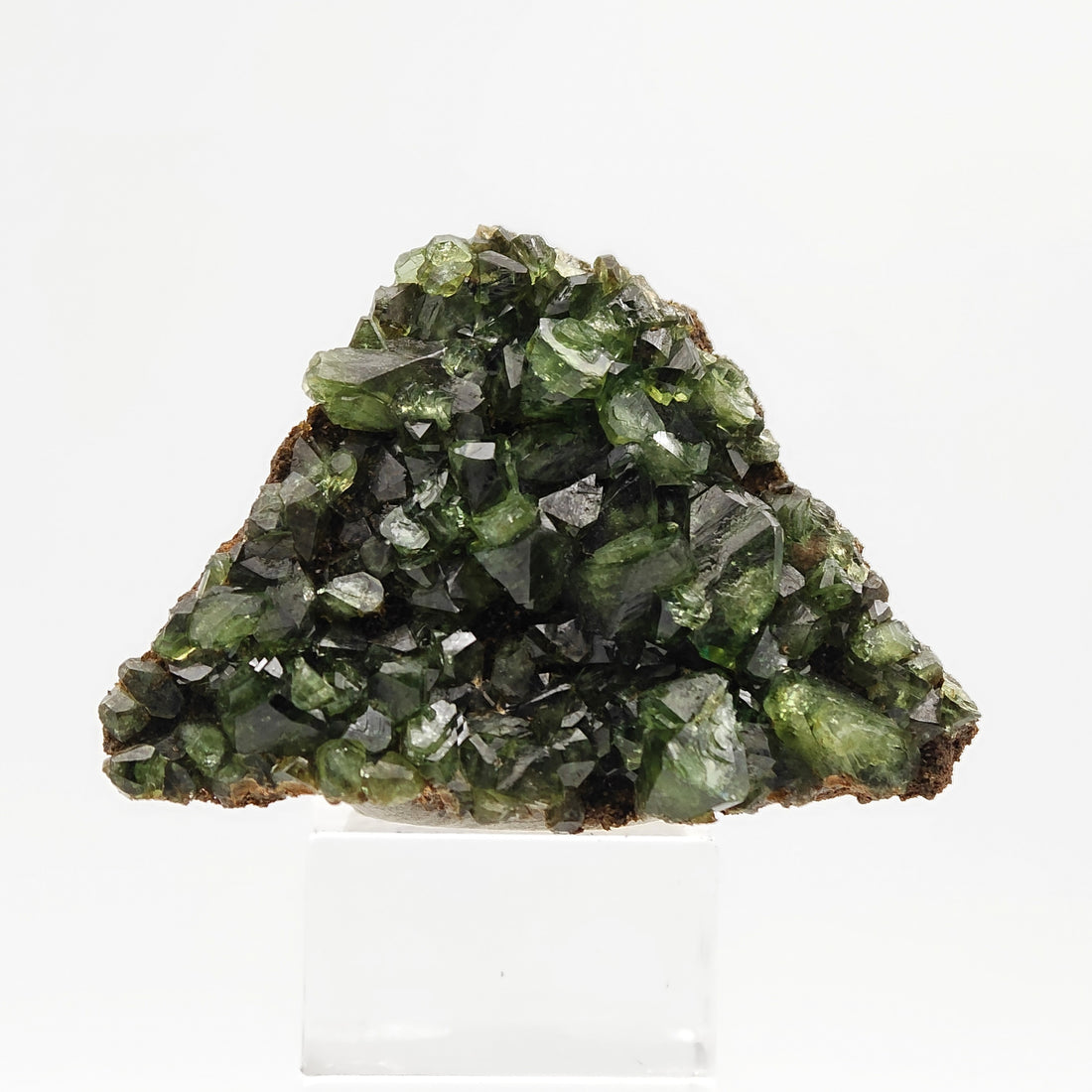 LUDLAMITE – Extremely Rare Vivid Green Gem-Quality Crystals on Matrix, Amazonas, Brazil