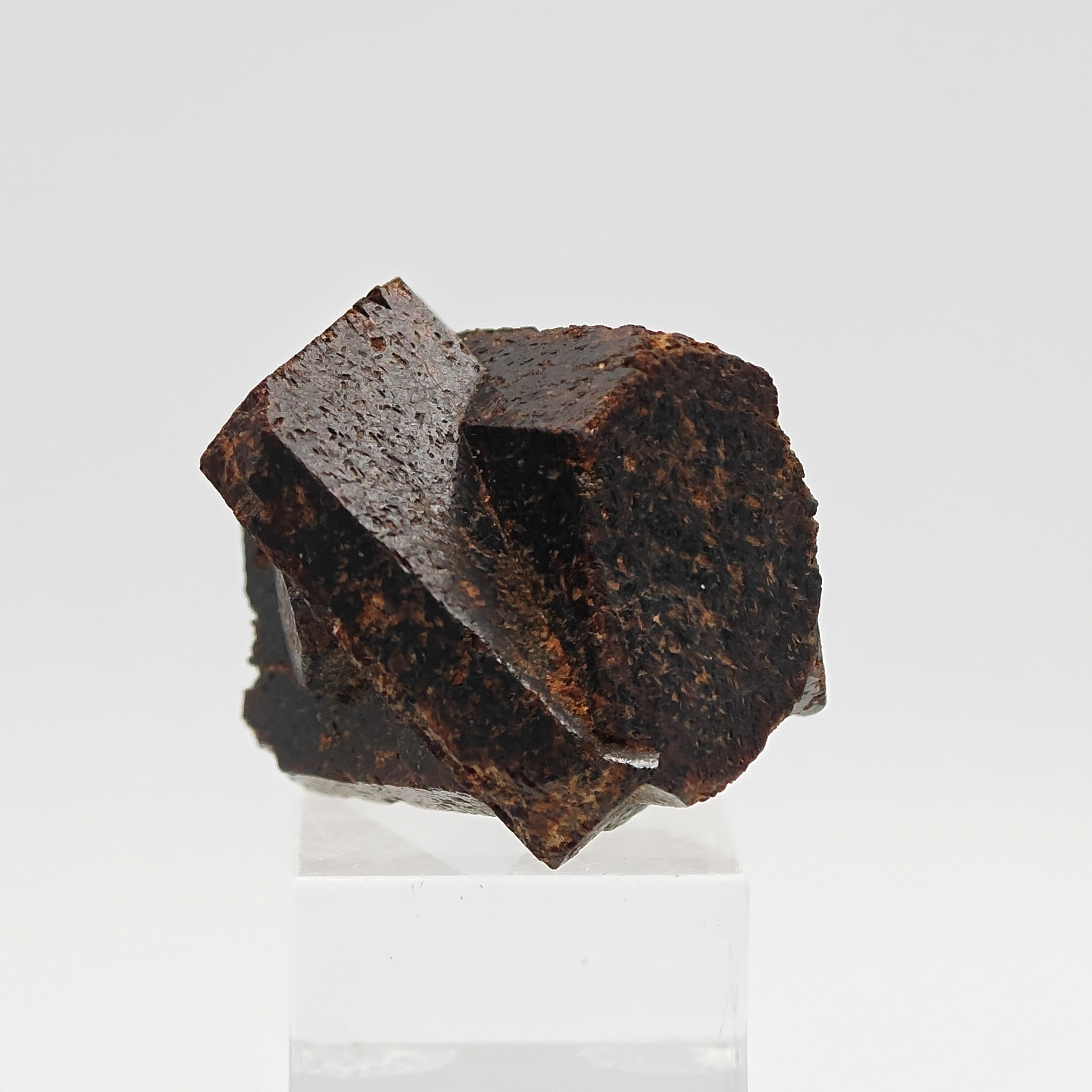 STAUROLITE –  Large, Twinned Crossed Crystals, Keivy Mountains, Russia
