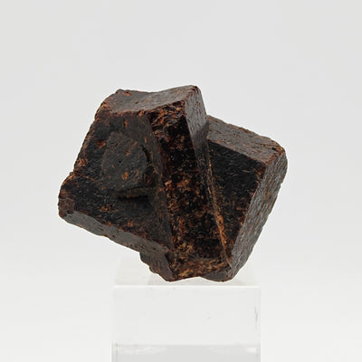 Close-up of staurolite crystal twin showing cruciform geometry, Russia