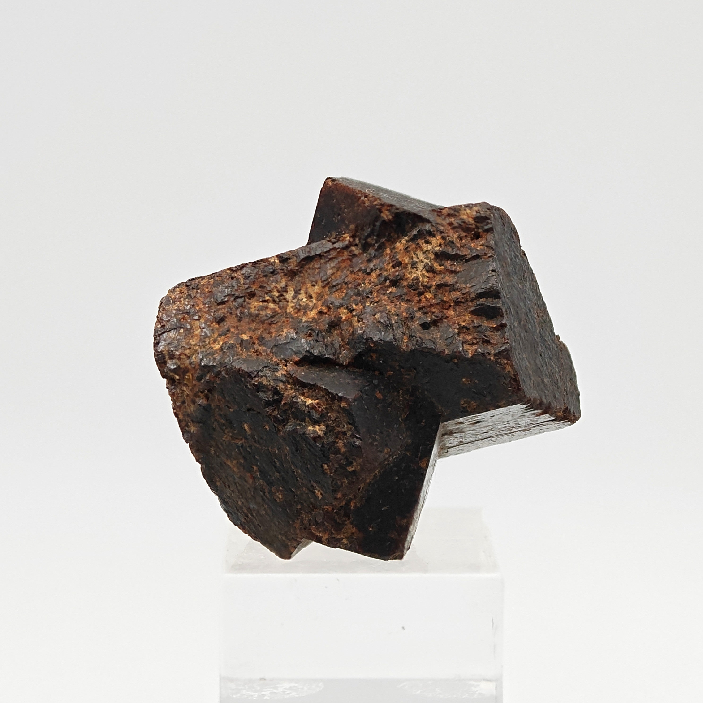 STAUROLITE –  Large, Twinned Crossed Crystals, Keivy Mountains, Russia