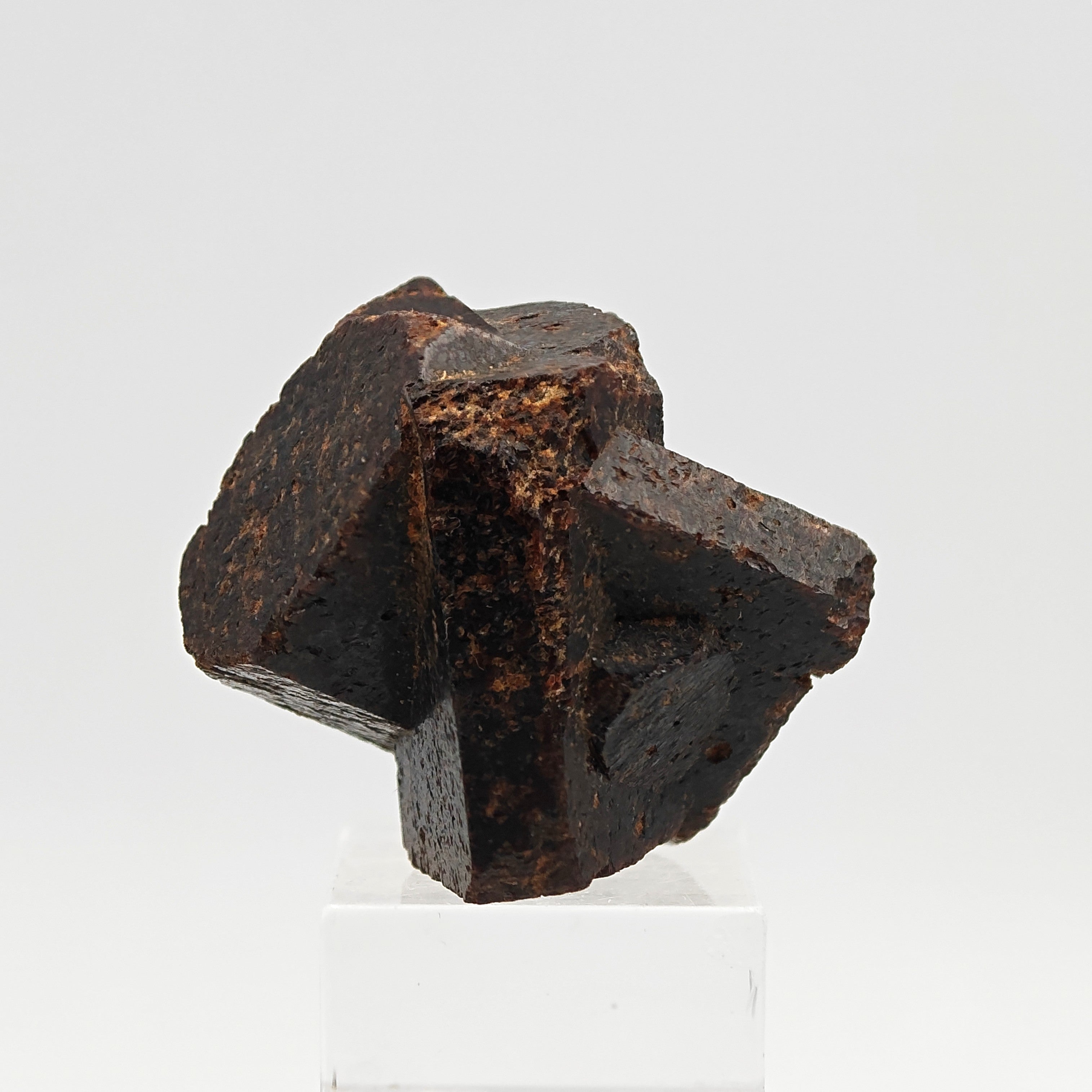 STAUROLITE –  Large, Twinned Crossed Crystals, Keivy Mountains, Russia