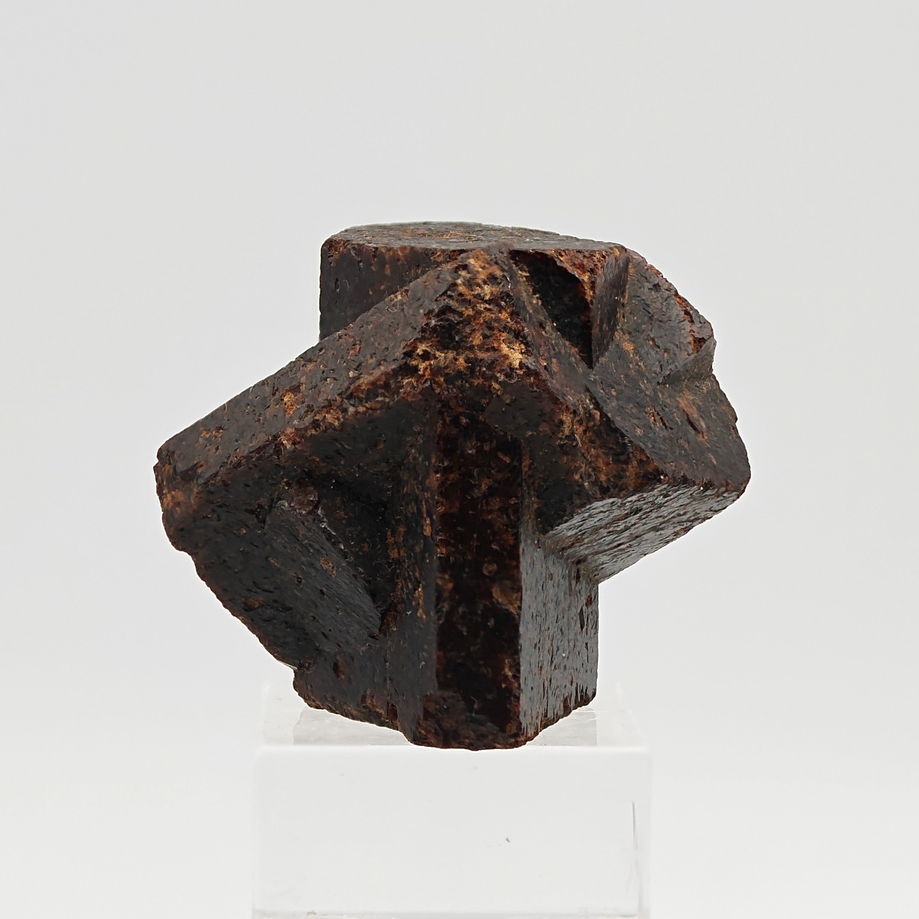 STAUROLITE –  Large, Twinned Crossed Crystals, Keivy Mountains, Russia