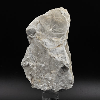 Side view of selenite gypsum specimen on matrix, Roccastrada, Italy