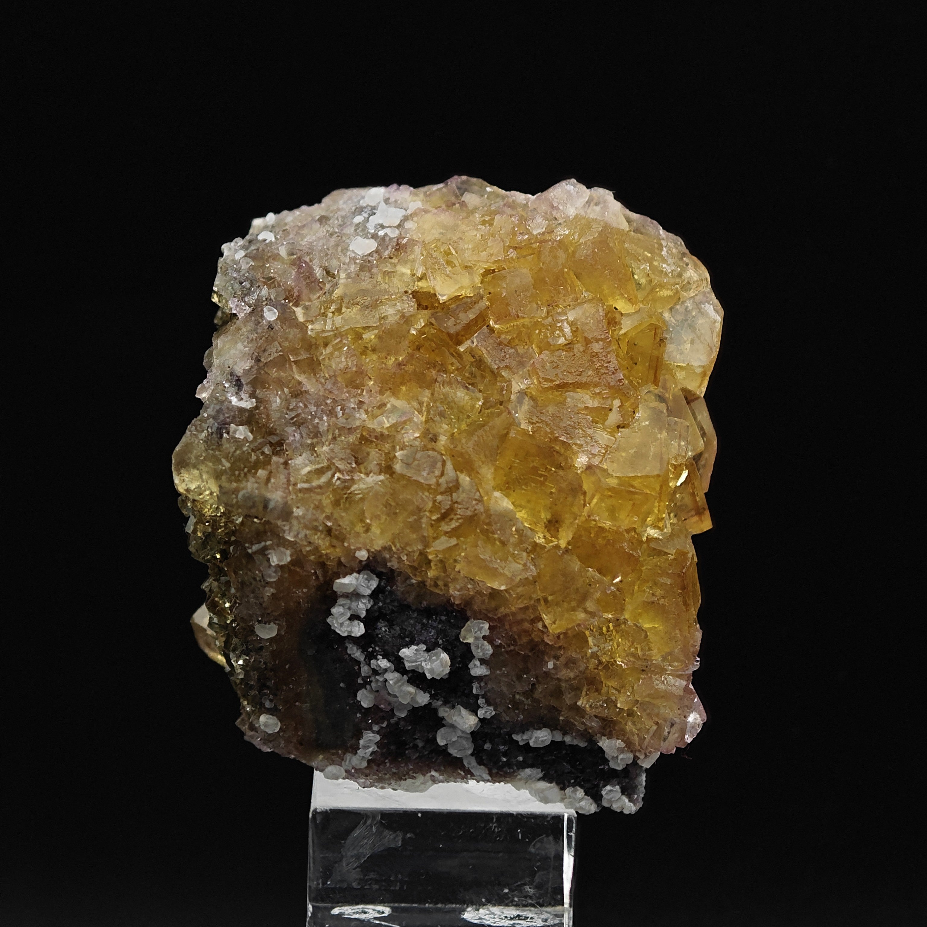 FLUORITE & CALCITE – Golden Yellow Cubes, Moscona Mine, Asturias, Spain
